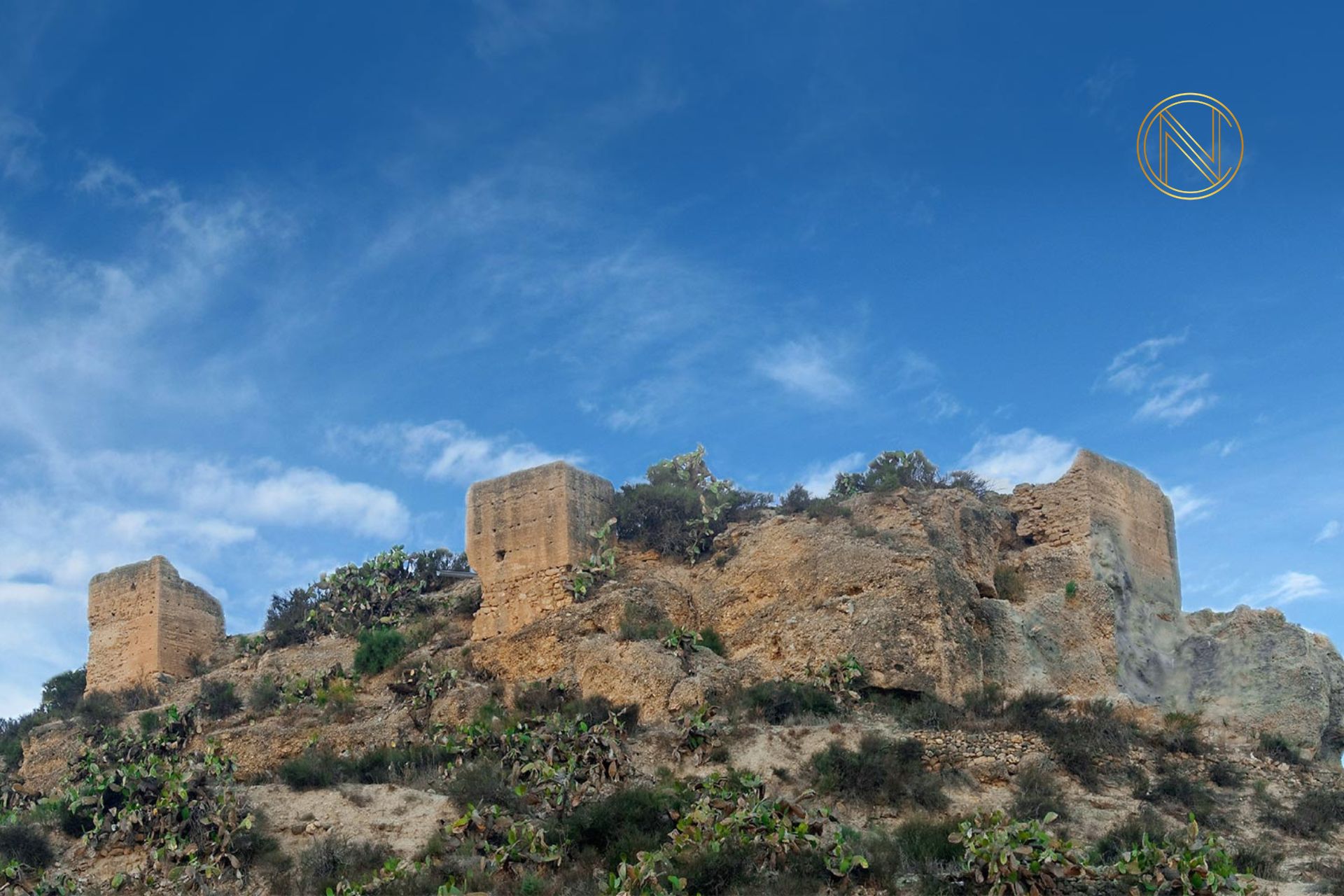 Villas in Alicante Aspe