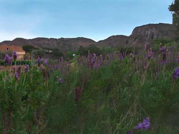 Villa in Aspe Alicante