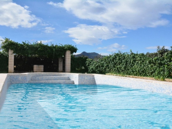 Villa in Aspe Alicante